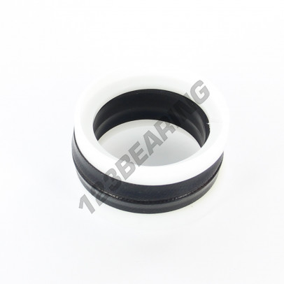 TP2-38X50X20.5-NBR90