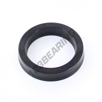 US-50X65X12-13-NBR90