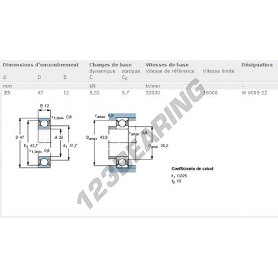 W6005-2Z-SKF